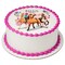Spirit Find Your Adventure PhotoCake® Edible Cake Topper Icing Image for 6 inch Round cake or larger